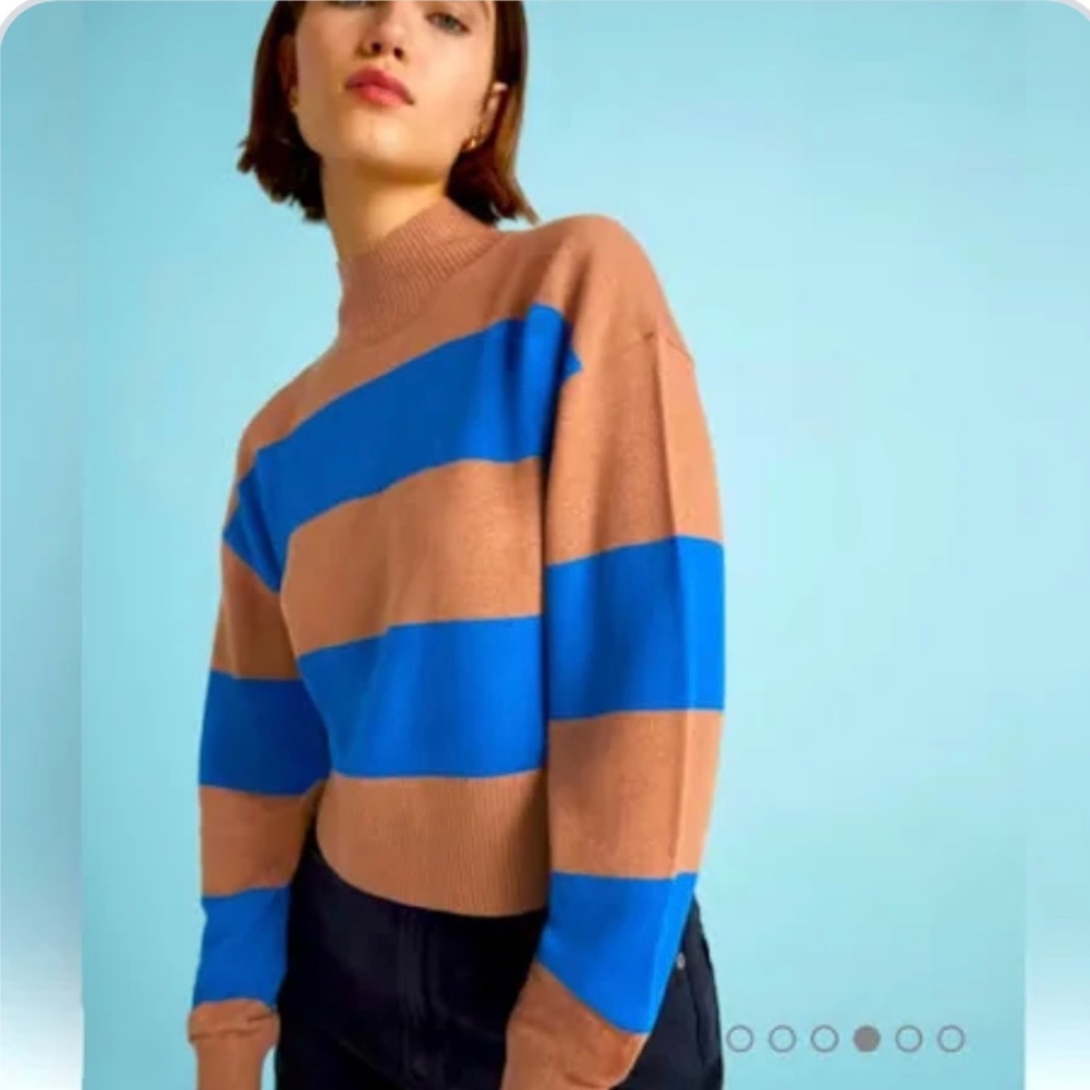 Everlane The Luxe Merino Turtleneck - never worn